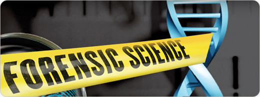 Criminal case